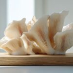 Recette de pleurotes: comment les préparer simplement