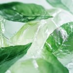 recette de dessert : un dessert gourmand à préparer facilement